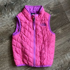 The north face vest
